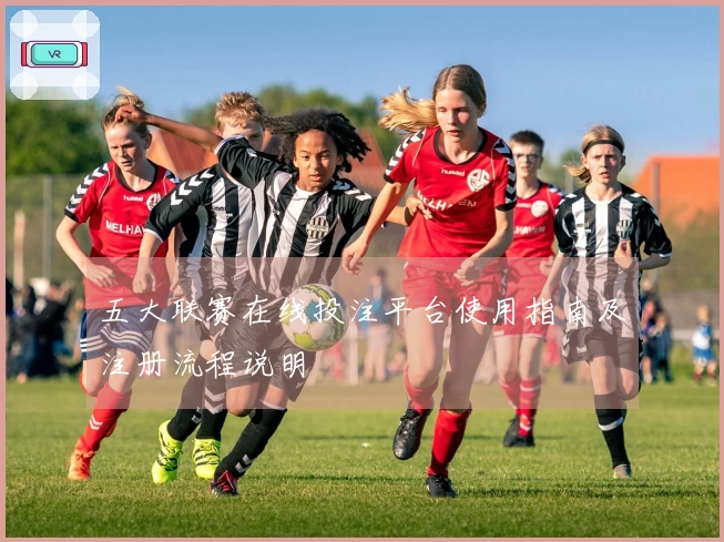 五大联赛在线投注平台使用指南及注册流程说明