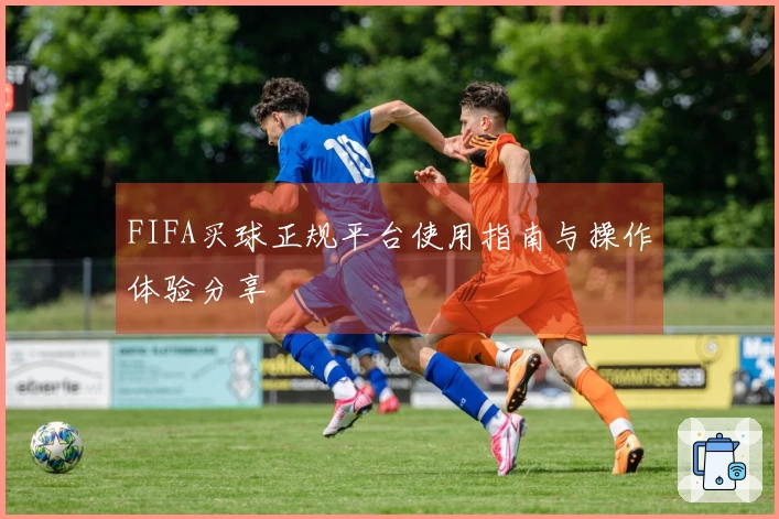 FIFA买球正规平台使用指南与操作体验分享