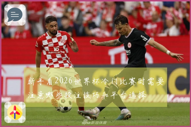新手看2026世界杯冷门比赛时需要注意哪些投注技巧和平台选择