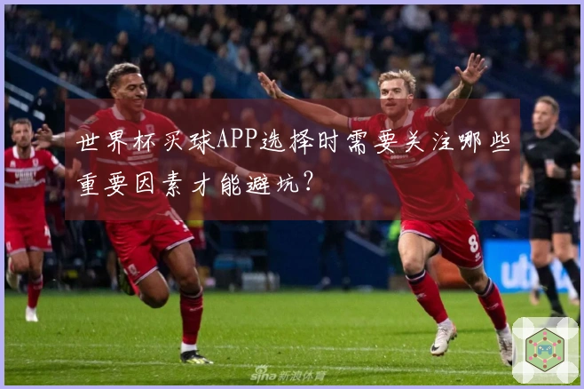 世界杯买球APP选择时需要关注哪些重要因素才能避坑？