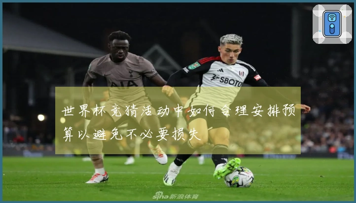 世界杯竞猜活动中如何合理安排预算以避免不必要损失