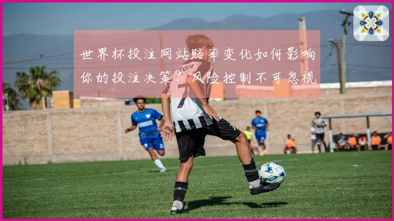 世界杯投注网站赔率变化如何影响你的投注决策？风险控制不可忽视