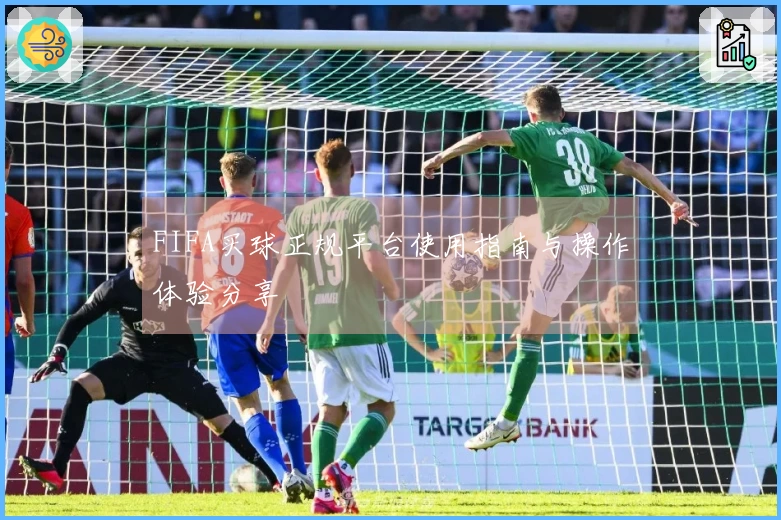 FIFA买球正规平台使用指南与操作体验分享