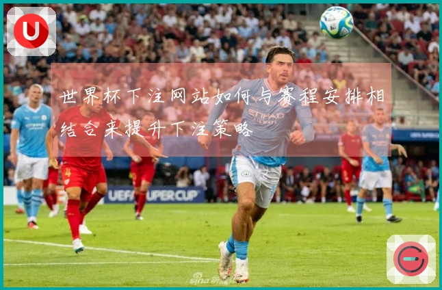 世界杯下注网站如何与赛程安排相结合来提升下注策略