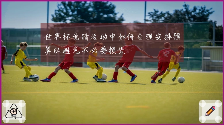 世界杯竞猜活动中如何合理安排预算以避免不必要损失