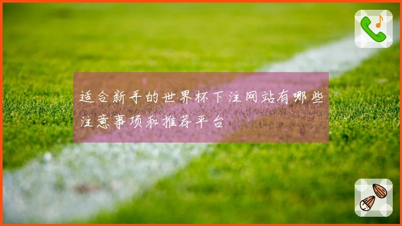 适合新手的世界杯下注网站有哪些注意事项和推荐平台