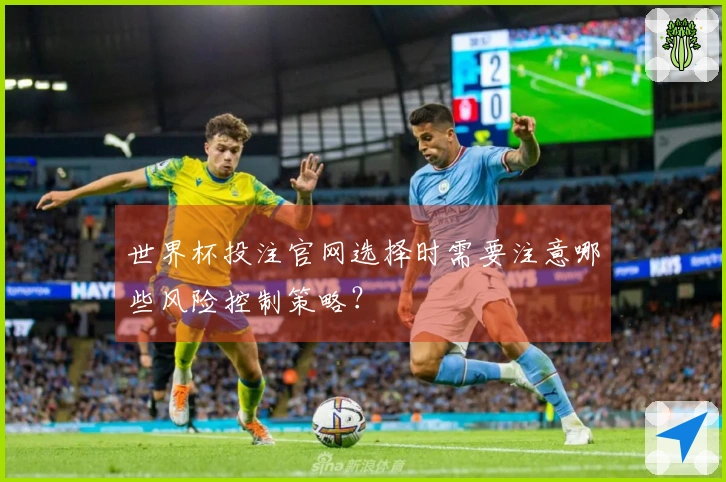 世界杯投注官网选择时需要注意哪些风险控制策略？