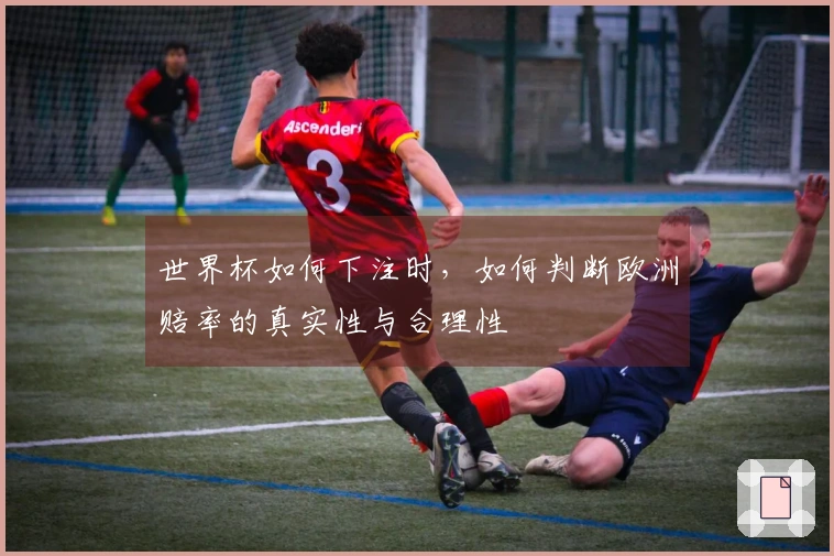 世界杯如何下注时,如何判断欧洲赔率的真实性与合理性