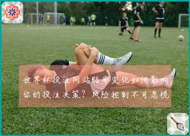 世界杯投注网站赔率变化如何影响你的投注决策？风险控制不可忽视
