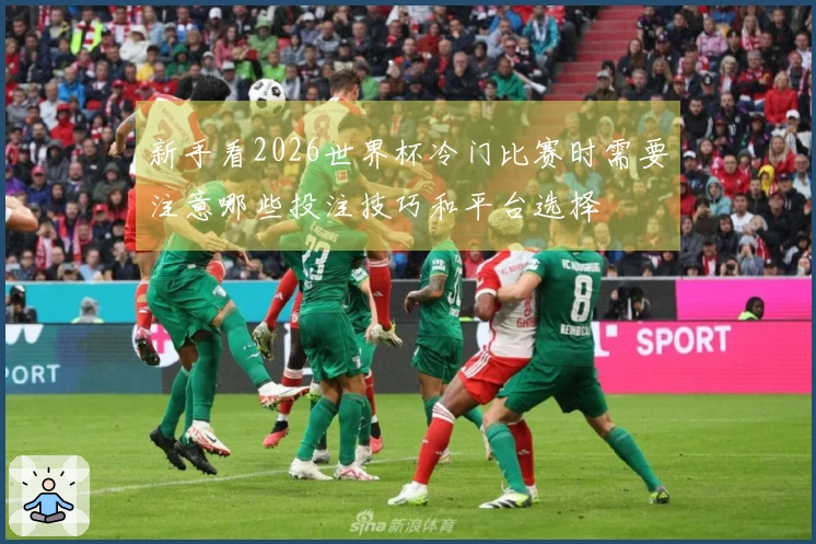 新手看2026世界杯冷门比赛时需要注意哪些投注技巧和平台选择