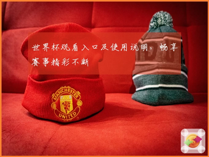 世界杯观看入口及使用说明，畅享赛事精彩不断