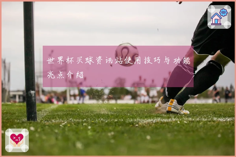 世界杯买球资讯站使用技巧与功能亮点介绍