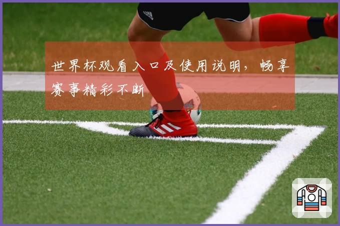 世界杯观看入口及使用说明，畅享赛事精彩不断