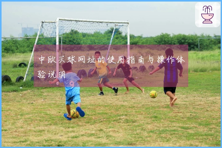 中欧买球网址的使用指南与操作体验说明