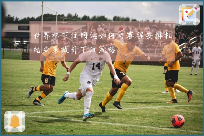 世界杯下注网站如何与赛程安排相结合来提升下注策略