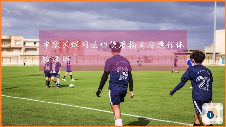 中欧买球网址的使用指南与操作体验说明